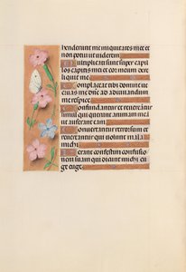Kuningatar Isabella Katolisen, Espanjan kuningatar: Fol. 240v, c. 1500. tekijältä Master of the First Prayerbook of Maximillian