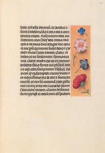 Kuningatar Isabella Katolisen, Espanjan kuningatar: Fol. 245r, c. 1500. tekijältä Master of the First Prayerbook of Maximillian