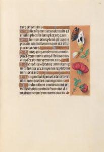 Espanjan kuningattaren Isabella katolisen tunteja:  Fol. 249r tekijältä Master of the First Prayerbook of Maximillian