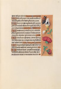 Kuningatar Isabella Katolisen, Espanjan kuningatar: Fol. 249r, c. 1500. tekijältä Master of the First Prayerbook of Maximillian