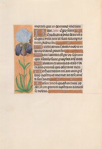 Kuningatar Isabella Katolisen, Espanjan kuningatar: Fol. 254v, c. 1500. tekijältä Master of the First Prayerbook of Maximillian