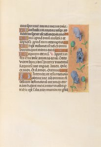 Kuningatar Isabella Katolisen, Espanjan kuningatar: Fol. 256r, c. 1500. tekijältä Master of the First Prayerbook of Maximillian