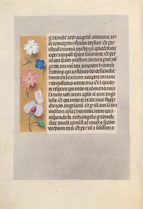 Kuningatar Isabella Katolisen, Espanjan kuningatar: Fol. 258v, c. 1500. tekijältä Master of the First Prayerbook of Maximillian