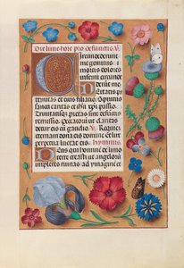 Kuningatar Isabella Katolisen, Espanjan kuningatar: Fol. 25r, c. 1500. tekijältä Master of the First Prayerbook of Maximillian