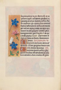 Kuningatar Isabella Katolisen, Espanjan kuningatar: Fol. 25v, c. 1500. tekijältä Master of the First Prayerbook of Maximillian
