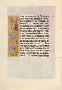 Kuningatar Isabella Katolisen, Espanjan kuningatar: Fol. 262v, c. 1500. tekijältä Master of the First Prayerbook of Maximillian
