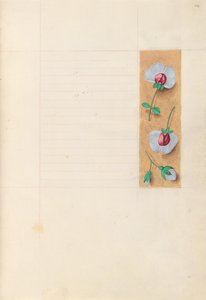 Kuningatar Isabella Katolisen, Espanjan kuningatar: Fol. 279r, c. 1500. tekijältä Master of the First Prayerbook of Maximillian