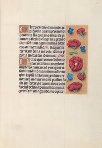 Kuningatar Isabella Katolisen, Espanjan kuningatar: Fol. 28r, c. 1500. tekijältä Master of the First Prayerbook of Maximillian