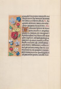 Kuningatar Isabella Katolisen, Espanjan kuningatar: Fol. 29v, c. 1500. tekijältä Master of the First Prayerbook of Maximillian