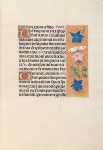 Kuningatar Isabella Katolisen, Espanjan kuningatar: Fol. 33r, c. 1500. tekijältä Master of the First Prayerbook of Maximillian