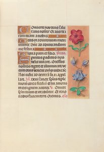 Kuningatar Isabella Katolisen, Espanjan kuningatar: Fol. 36r, c. 1500. tekijältä Master of the First Prayerbook of Maximillian