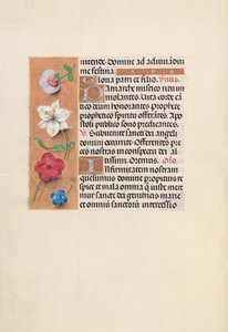 Kuningatar Isabella Katolisen, Espanjan kuningatar: Fol. 39v, c. 1500. tekijältä Master of the First Prayerbook of Maximillian