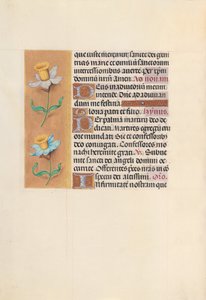 Kuningatar Isabella Katolisen, Espanjan kuningatar: Fol. 40v, c. 1500. tekijältä Master of the First Prayerbook of Maximillian