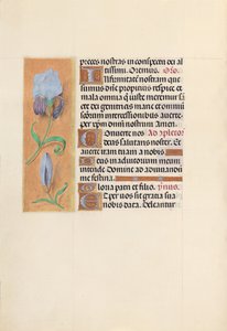 Kuningatar Isabella Katolisen, Espanjan kuningatar: Fol. 41v, c. 1500. tekijältä Master of the First Prayerbook of Maximillian