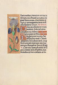 Kuningatar Isabella Katolisen, Espanjan kuningatar: Fol. 45v, c. 1500. tekijältä Master of the First Prayerbook of Maximillian