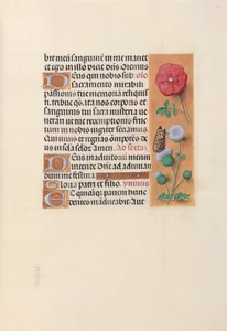 Kuningatar Isabella Katolisen, Espanjan kuningatar: Fol. 46r, c. 1500. tekijältä Master of the First Prayerbook of Maximillian