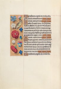 Kuningatar Isabella Katolisen, Espanjan kuningatar: Fol. 51v, c. 1500. tekijältä Master of the First Prayerbook of Maximillian