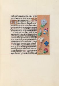 Kuningatar Isabella Katolisen, Espanjan kuningatar: Fol. 54r, c. 1500. tekijältä Master of the First Prayerbook of Maximillian