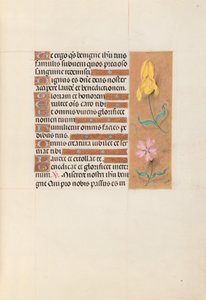 Kuningatar Isabella Katolisen, Espanjan kuningatar: Fol. 56r, c. 1500. tekijältä Master of the First Prayerbook of Maximillian