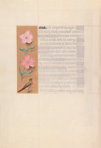 Kuningatar Isabella Katolisen, Espanjan kuningatar: Fol. 56v, c. 1500. tekijältä Master of the First Prayerbook of Maximillian
