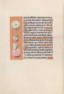 Kuningatar Isabella Katolisen, Espanjan kuningatar: Fol. 58v, c. 1500. tekijältä Master of the First Prayerbook of Maximillian