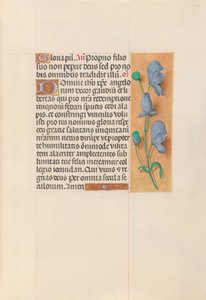 Kuningatar Isabella Katolisen, Espanjan kuningatar: Fol. 60r, c. 1500. tekijältä Master of the First Prayerbook of Maximillian