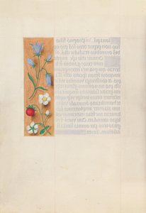 Kuningatar Isabella Katolisen, Espanjan kuningatar: Fol. 60v, c. 1500. tekijältä Master of the First Prayerbook of Maximillian