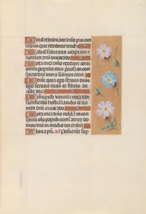 Kuningatar Isabella Katolisen, Espanjan kuningatar: Fol. 67r, c. 1500. tekijältä Master of the First Prayerbook of Maximillian