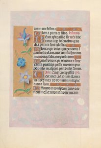 Kuningatar Isabella Katolisen, Espanjan kuningatar: Fol. 69v, c. 1500. tekijältä Master of the First Prayerbook of Maximillian