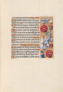 Kuningatar Isabella Katolisen, Espanjan kuningatar: Fol. 70r, c. 1500. tekijältä Master of the First Prayerbook of Maximillian