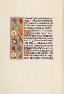 Kuningatar Isabella Katolisen, Espanjan kuningatar: Fol. 70v, c. 1500. tekijältä Master of the First Prayerbook of Maximillian