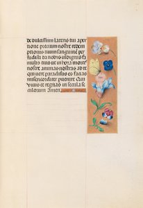 Kuningatar Isabella Katolisen, Espanjan kuningatar: Fol. 71r, c. 1500. tekijältä Master of the First Prayerbook of Maximillian
