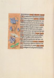 Kuningatar Isabella Katolisen, Espanjan kuningatar: Fol. 75v, c. 1500.
