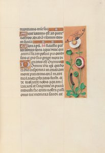 Kuningatar Isabella Katolisen, Espanjan kuningatar: Fol. 76r, c. 1500. tekijältä Master of the First Prayerbook of Maximillian