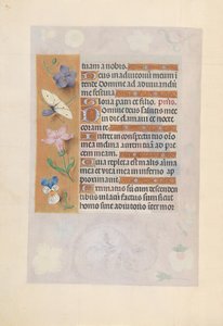Kuningatar Isabella Katolisen, Espanjan kuningatar: Fol. 77v, c. 1500.