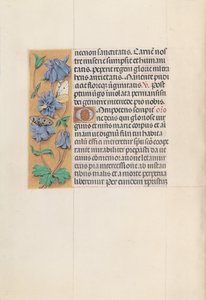 Kuningatar Isabella Katolisen, Espanjan kuningatar: Fol. 83v, c. 1500. tekijältä Master of the First Prayerbook of Maximillian
