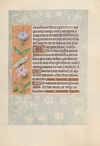 Kuningatar Isabella Katolisen, Espanjan kuningatar: Fol. 88v, c. 1500. tekijältä Master of the First Prayerbook of Maximillian