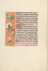 Kuningatar Isabella Katolisen, Espanjan kuningatar: Fol. 92v, c. 1500. tekijältä Master of the First Prayerbook of Maximillian