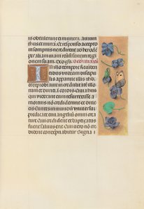 Kuningatar Isabella Katolisen, Espanjan kuningatar: Fol. 96r, c. 1500. tekijältä Master of the First Prayerbook of Maximillian