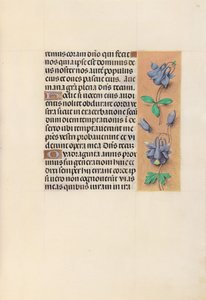 Kuningatar Isabella Katolisen, Espanjan kuningatar: Fol. 99r, c. 1500. tekijältä Master of the First Prayerbook of Maximillian