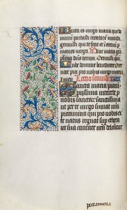 Tuntikirja Rouenin käyttö: fol. 35v, c. 1470. tekijältä Master of the Geneva Latini