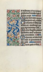 Tuntikirja Rouenin käyttö: fol. 82v, c. 1470. tekijältä Master of the Geneva Latini