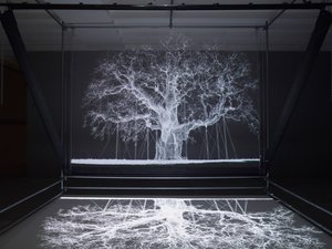 Albion, 2017 (projektori, mediasoitin, telineet, läpinäkyvä kalvo, puu, maali, peili, venytystarvikkeet) tekijältä Mat Collishaw