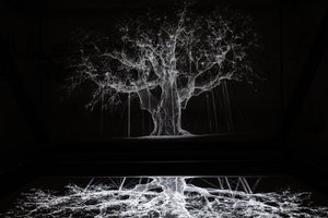 Albion, 2017 (projektori, mediasoitin, telineet, läpinäkyvä kalvo, puu, maali, peili, venytystarvikkeet) tekijältä Mat Collishaw
