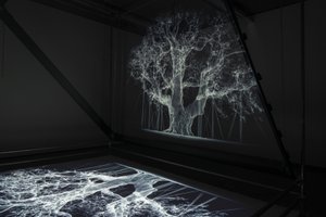 Albion, 2017 (projektori, mediasoitin, telineet, läpinäkyvä kalvo, puu, maali, peili, venytystarvikkeet) tekijältä Mat Collishaw