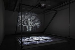 Albion, 2017 (projektori, mediasoitin, telineet, läpinäkyvä kalvo, puu, maali, peili, venytystarvikkeet) tekijältä Mat Collishaw