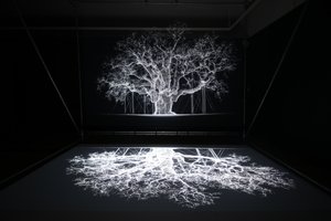 Albion Mat Collishaw