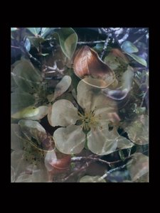 Lihanlämmittimet 5 tekijältä Mat Collishaw