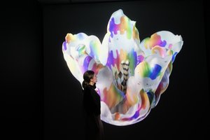 Heterosis, Mat Collishaw