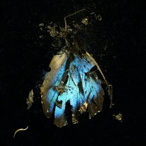 Hyönteismyrkky 16, 2009 (C-tyypin valokuva) tekijältä Mat Collishaw
